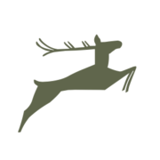 NEU! Exkursion in die "Römische Provence"