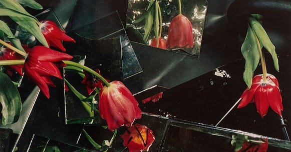 Preview "Bloom up"